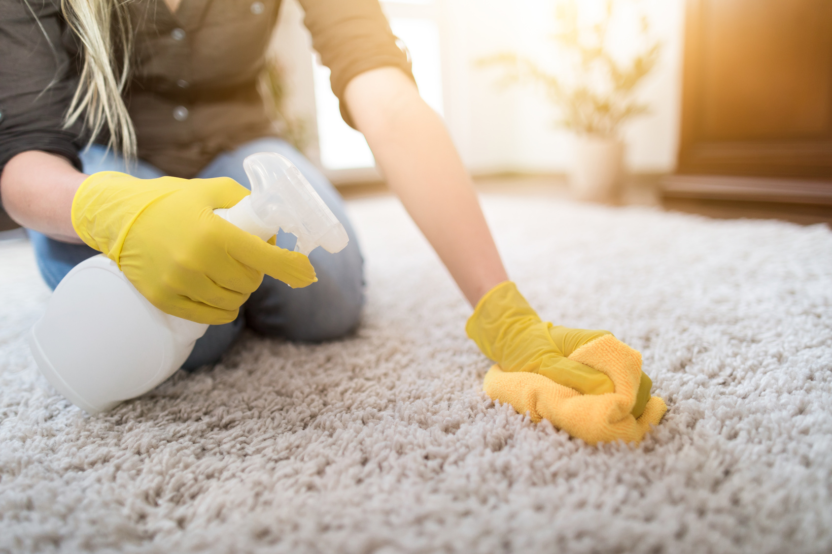 Cleaning carpet moldy